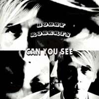 Can You See" Remixed"